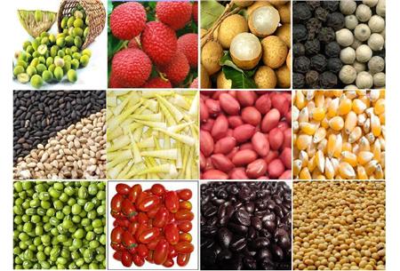 เวียดนามขยายการส่งเสริมการค้าในประเทศปารากวัย